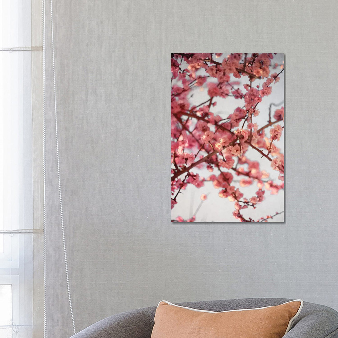 Kirschblüten I von Susan Bryant - Galerie-verpackte Leinwand Giclée auf Leinwand