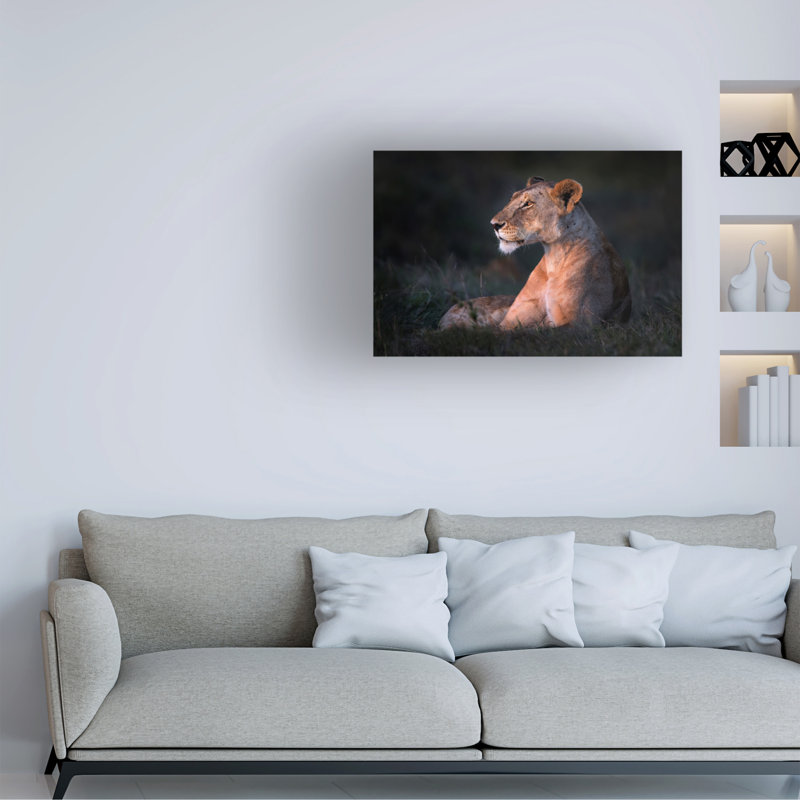 «Lone Lioness» par Xavier Ortega - photographie sur toile tendue, H 22 po x l 32 po x P 2 po