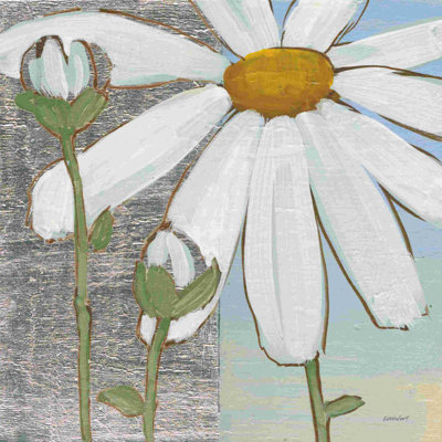 " White Daisy Square I " by Kathrine Lovell