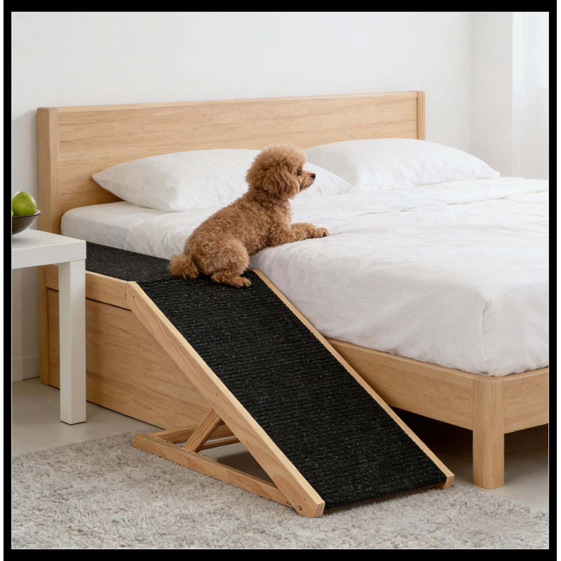 Rampe pour animaux de compagnie