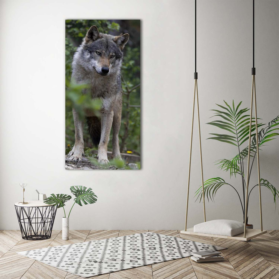 Ein Wolf im Wald - Kunstdrucke auf Leinwand