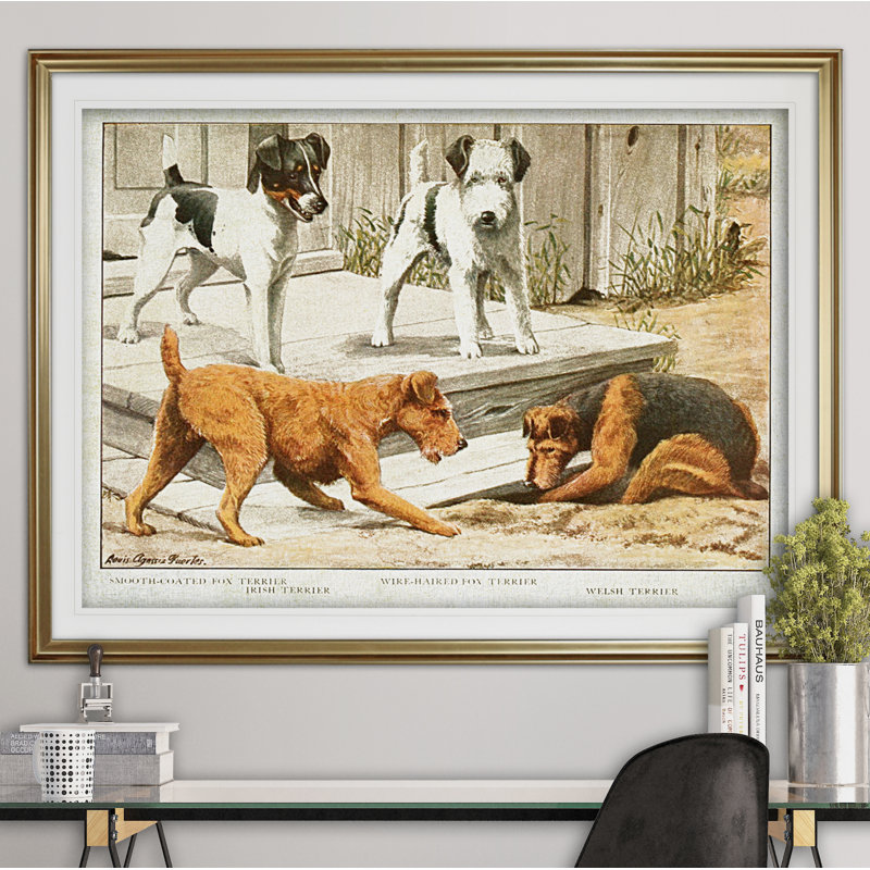 « canin sketch xxi », impression, Cadre doré, H 31 po x l 43 po x P 1,5 po, Blanc mat