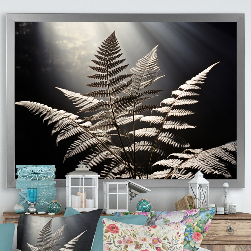 " Ferns Close Up Photo VIII ", Cadre simple argenté, H 30 po x l 40 po x P 1,5 po