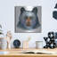 «Black Bear» par Jeannine Saylor-302127664