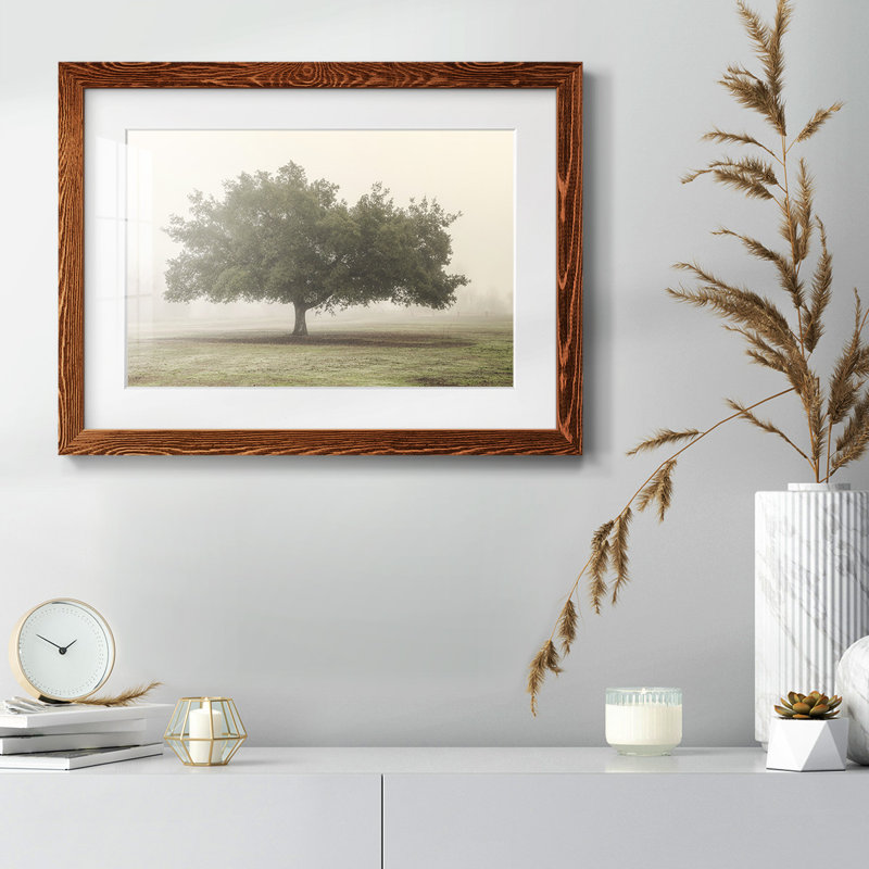 " Trees In The Fog II ", H 14 po x l 20 po x P 1,5 po, Érable