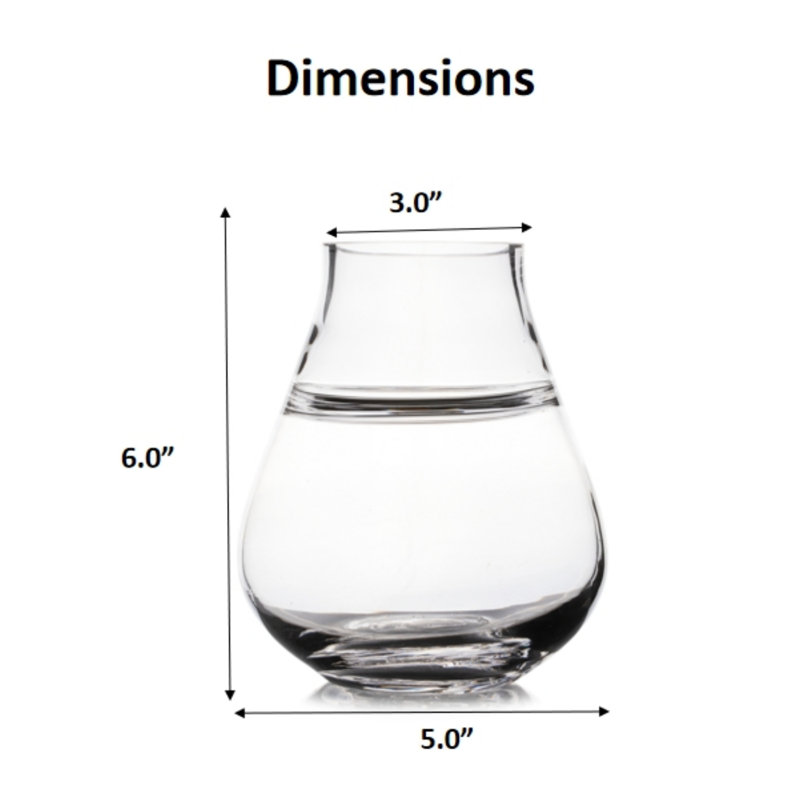 Clear Glass Vase 6.0" H 5.0" D