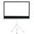 Borkowski White Portable Projection Screen-2084982670