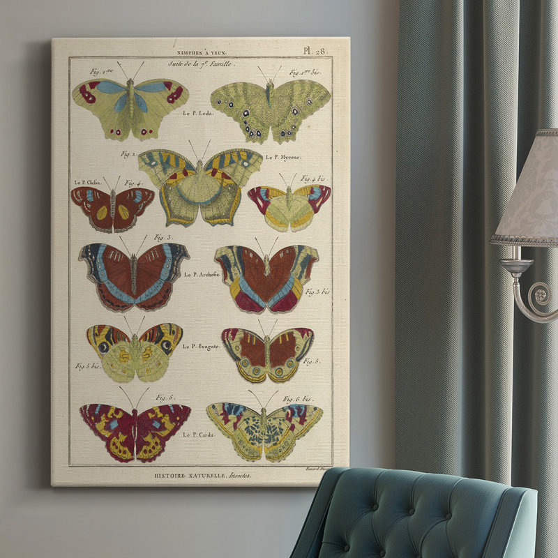 Histoire Naturelle Butterflies IV - peinture sur toile tendue, H 27 po x l 16 po x P 1 po