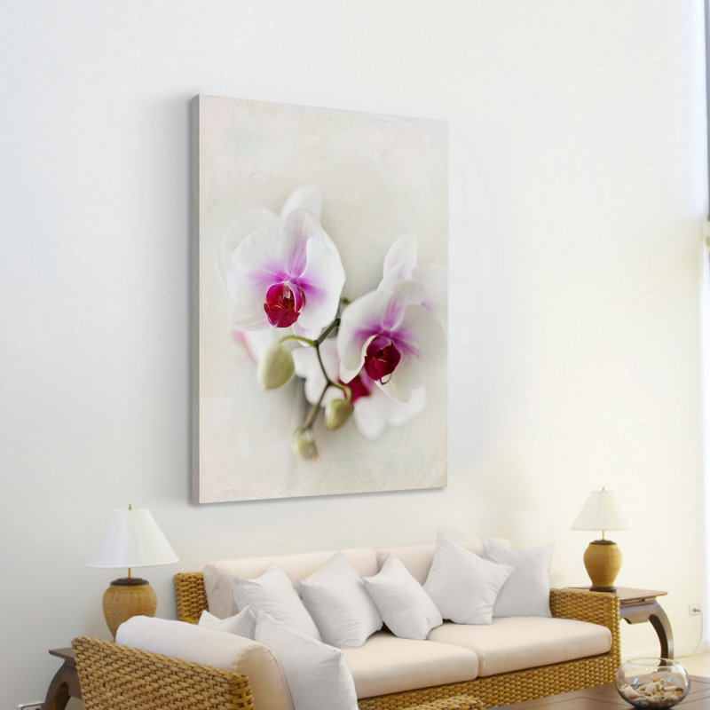 Sylvia Cook - Wrapped Canvas Print, 114cm H x 76cm W x 3.81cm D