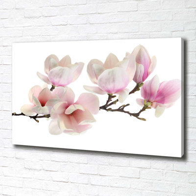 Magnolia - Wrapped Canvas Print