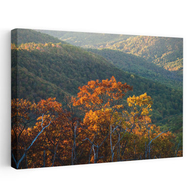 Oaks in autumn Shenandoah National Park Virginia USA 1 Piece Wrapped Canvas Wall Art