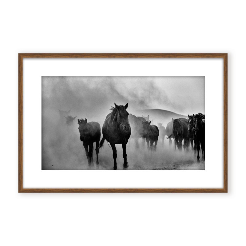 Nature Inspired Untitled by  - Picture Frame Photograph on Paper, 16" H x 24" W x 1.125" D, Black, Framed Matted Print