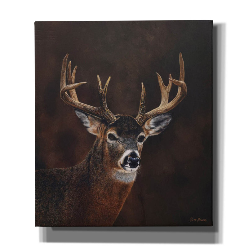 Toile épique Graffiti «White Tailed 12 Point Buck» par Jim Brune, 26 po x 30 po, H 30 po x l 26 po