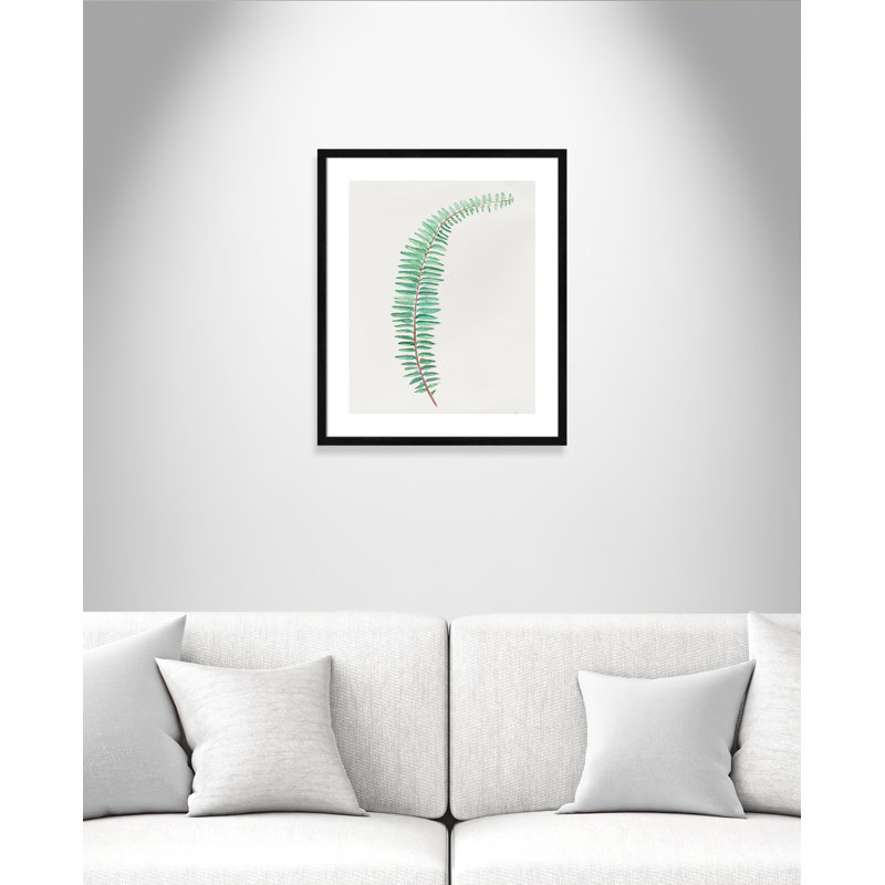 Delicate Botanical II '- Reproduction d'art sur papier encadrée, H 25,5 po x l 21,5 po x P 0,75 po