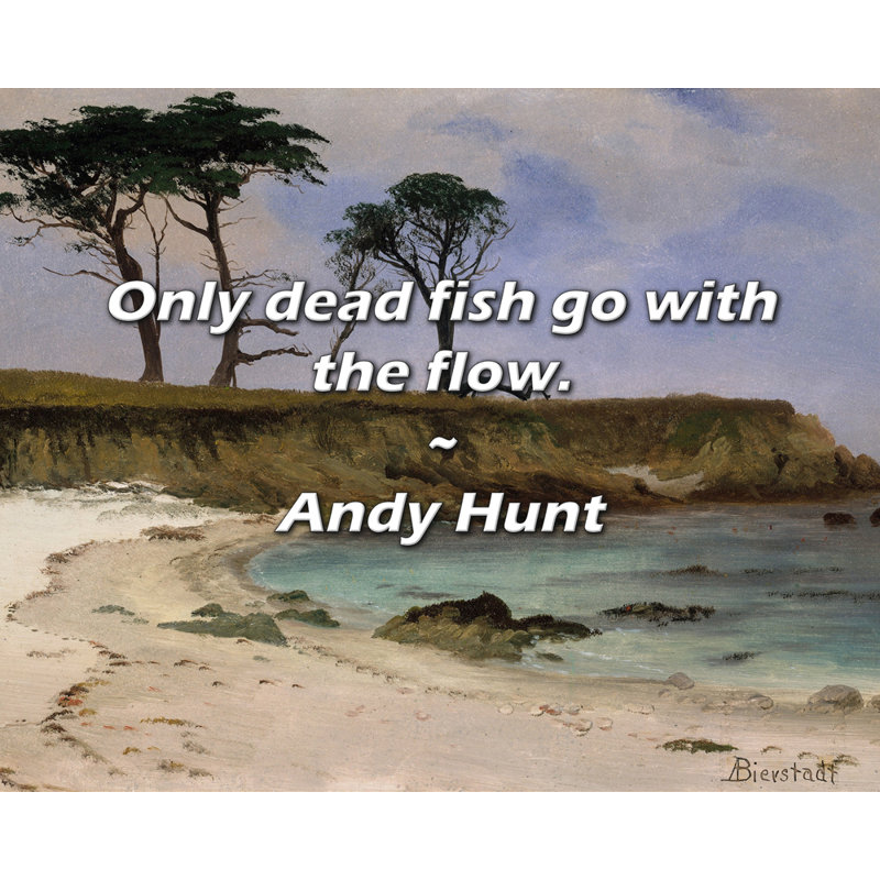 Andy Hunt citation: Seuls les poissons morts vont avec le courant.