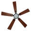Ventilateur de plafond intelligent 56 pouces à 5 pales 56 po avec télécommande et ensemble d'éclairage Apex