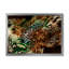 Léopard et tigre VII - décoration murale moderne encadrée-977988860-977988858