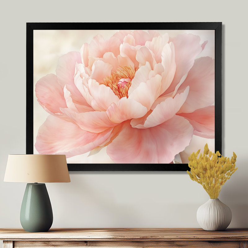 Pivoine douce rose crème en fleur II - Tableau encadré, H 12 po x l 20 po, Cadre photo noir