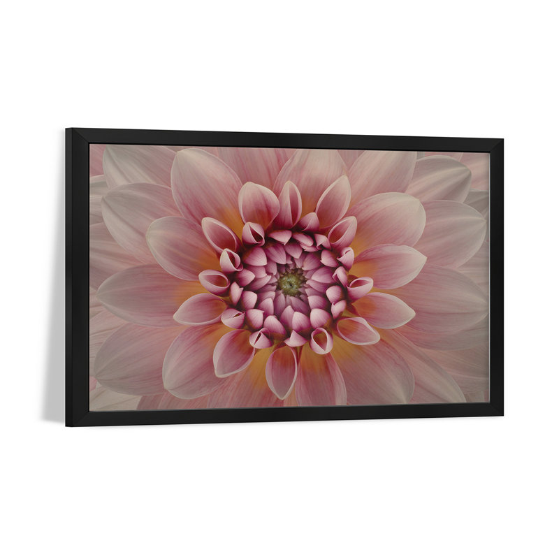 Blush Premium Framed Poster by Richard Urbanski