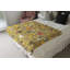 Romer Throw Blanket