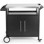 Station de gril d'extérieur avec ouverture pour tuyau de gaz et armoire de rangement OuterMust