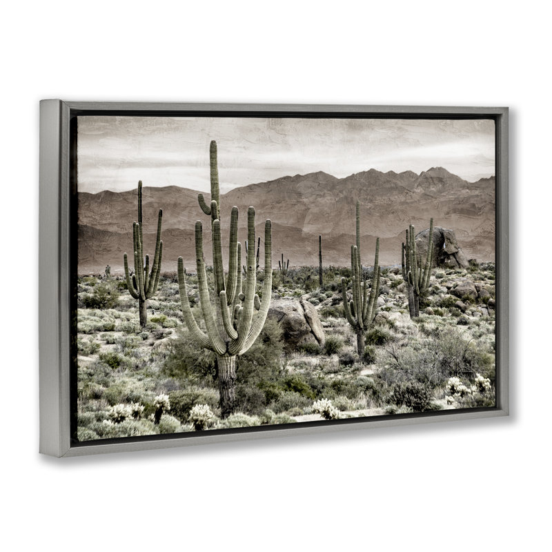 Cadre flottant Desert Land Cacti Wilderness, design par Kim Allen, H 21 po x l 31 po, Cadre flottant gris lustré