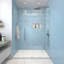 Porte de douche sans cadre Julien avec l 60 po x H 76 po avec trempage à chaud et revêtement protecteur-635747541