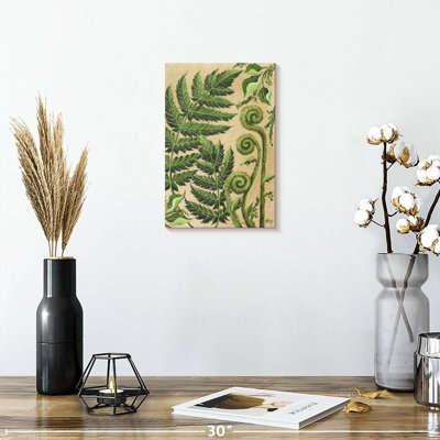 Harnek Various Ferns