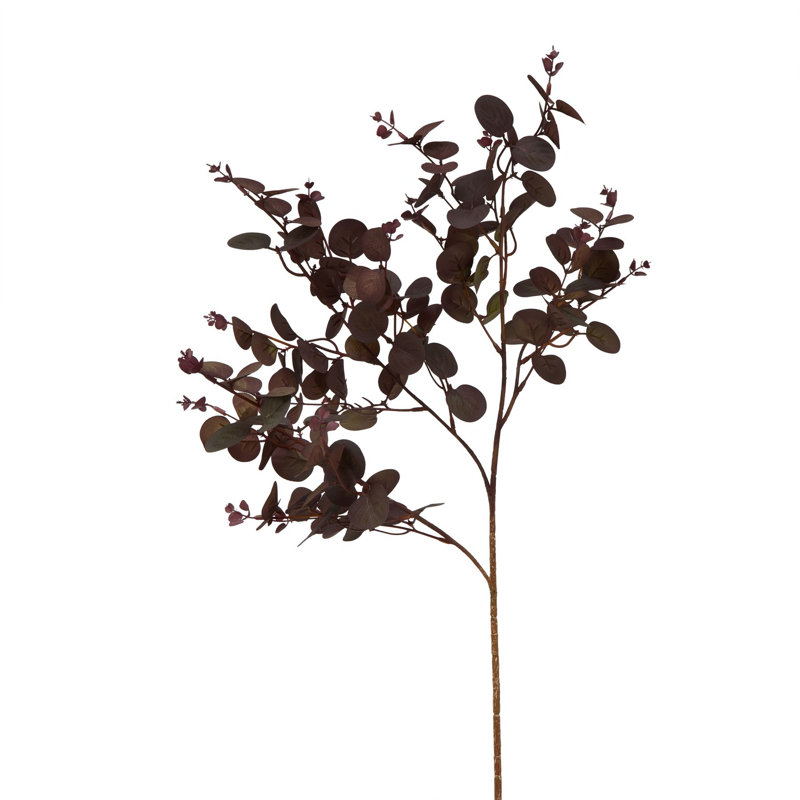 Anastasija Arrangement