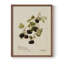 «Vintage Floral Print XLIV» sur papier-446485028-446485051