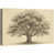 Toile tendue