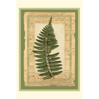 Scrapbook Woodland I