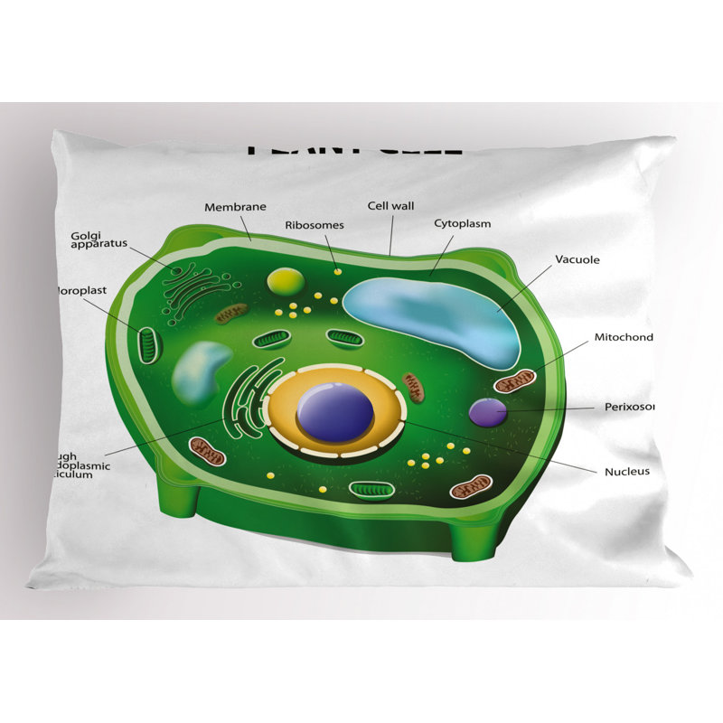 Educational Polyester Sham Set, Twin