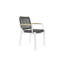 Sol Outdoor Lounge Chair