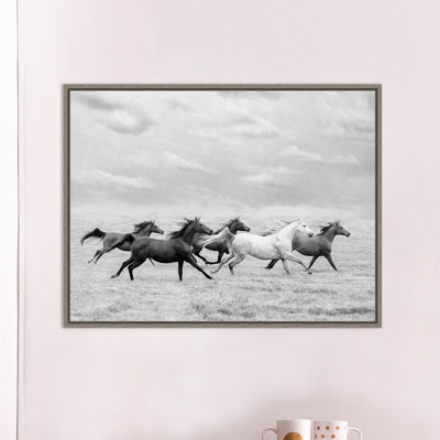 «Horse Run I» par Phburchett - reproduction de photo sur cadre flottant