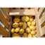 Willhite Wood Food Storage Container