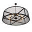 Paloma Golpe 12 - Light Drum Chandelier