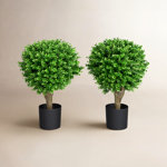 Weslyn 2 - Piece Hedyotis Boxwood Topiary in Planter
