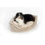Lit pour chien Snoozer-522717971-428873277