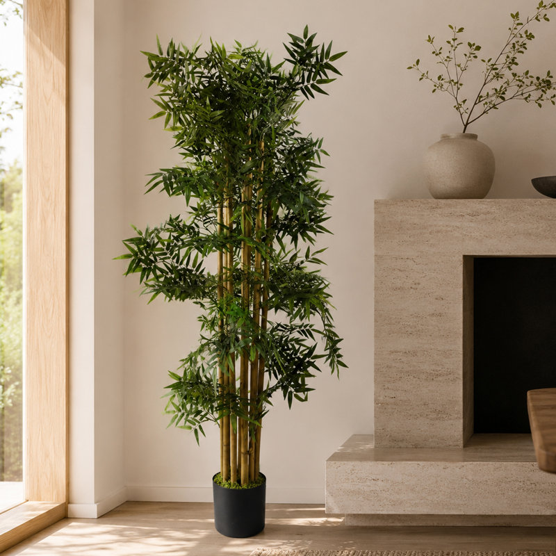 Faux Bamboo Tree in Pot Liner, 150cm H x 70cm W x 70cm D