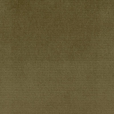 Velours de satin de coton Belvedere-Byron