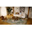 Almyra Oriental Indoor Rug-20155893