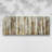 Birch Path- Gallery Wrapped Canvas -Ready to Hang-107358961