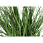 Pot 22,5 po Faux Grass Plant en polypropylène (PP)