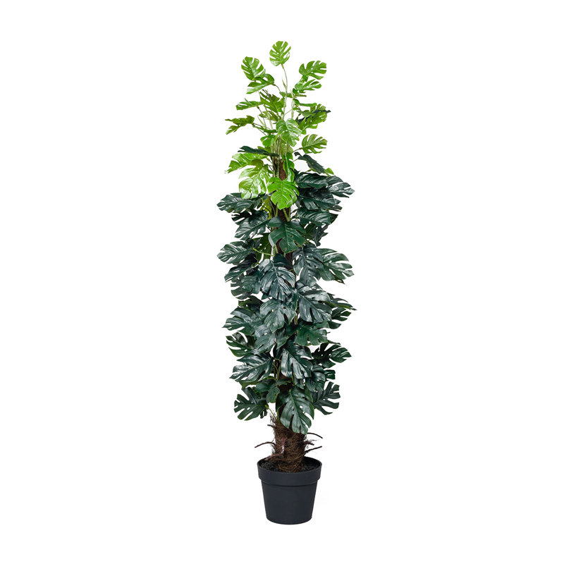 55 "plante à feuilles persistantes artificielle en pot