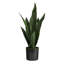 Snake artificiel en pot-1381566261-1381566266