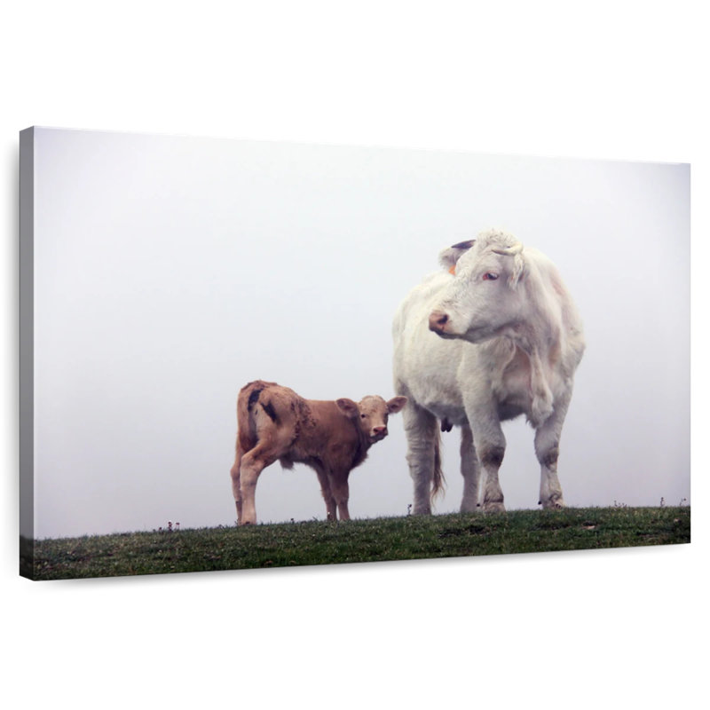 Brampt Mother And Baby Cow