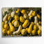Art mural sur toile, "Légumes jaunes"-1602618849