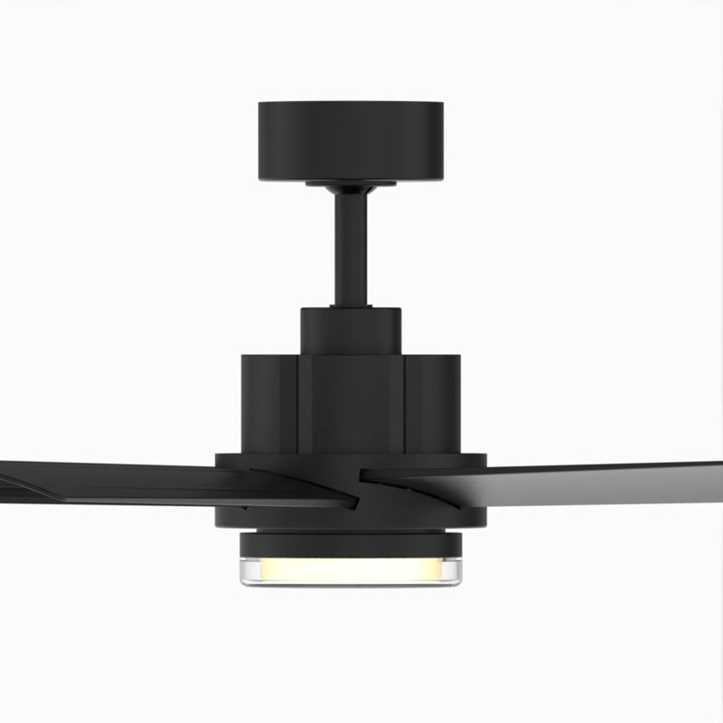 Pendry 56 inch Indoor/Outdoor Ceiling Fan - Black, Black, Black