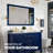 Latitude Run® Acclaim 60X30 Transitional Blue Bathroom Mirror-1070002882